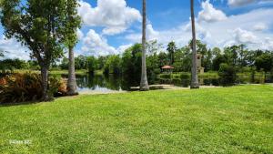 Peace Lake view