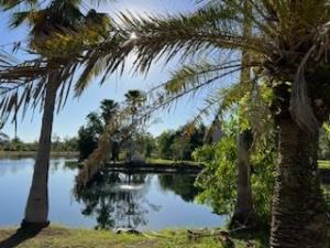Peace Lake