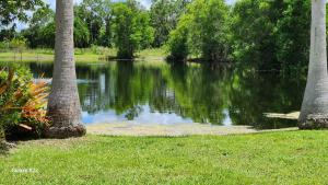 Peace Lake view