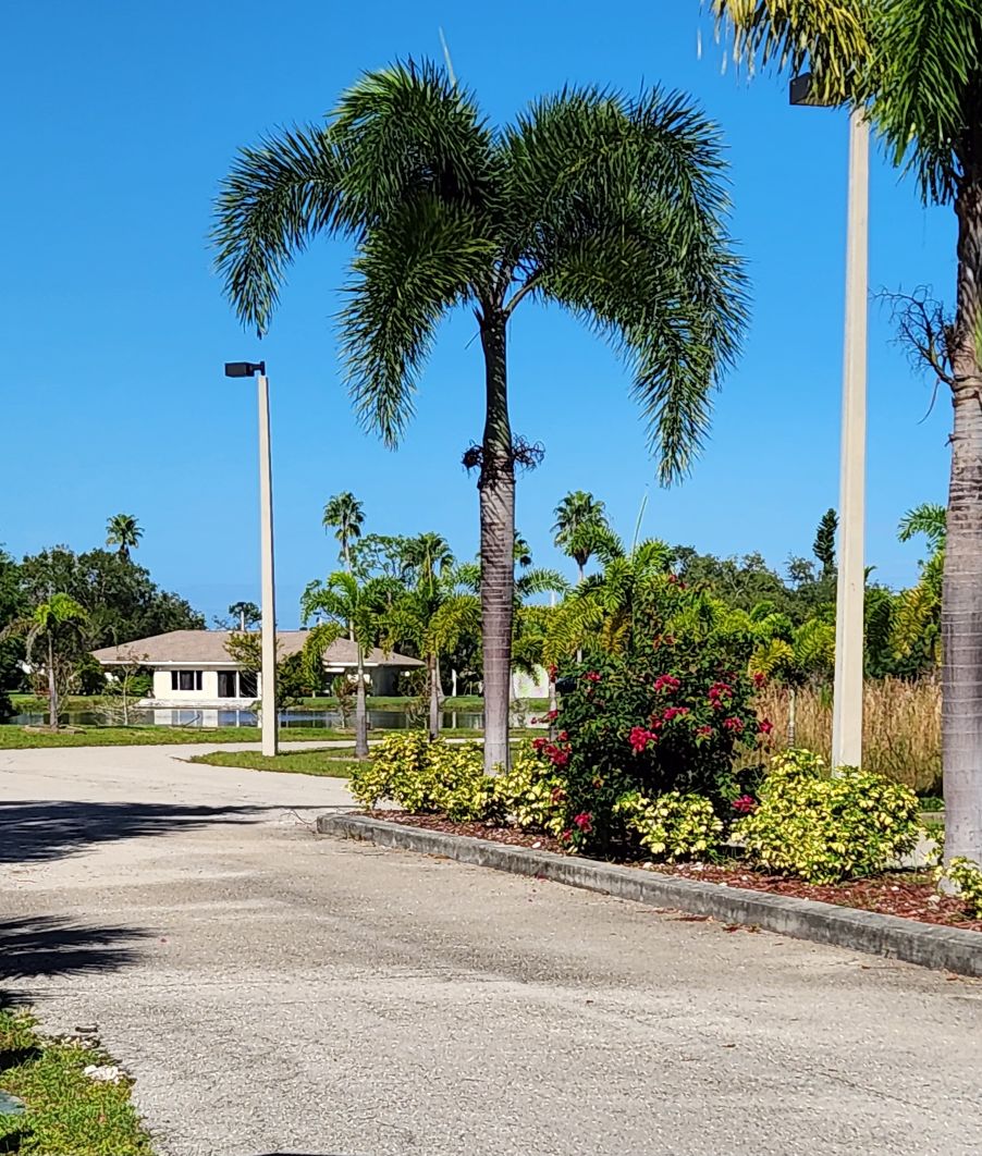 Entrance driveway